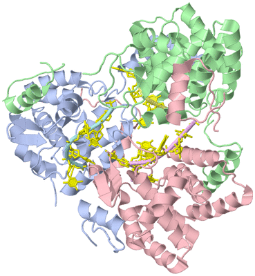 Image Asym./Biol. Unit