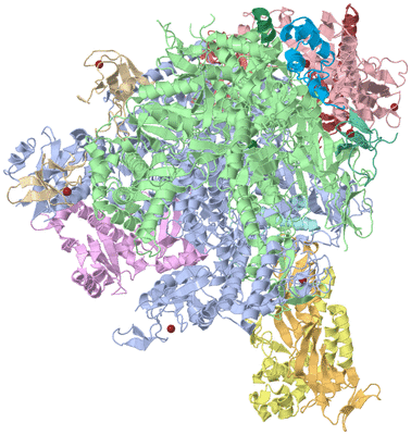 Image Asym./Biol. Unit