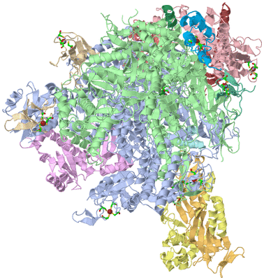 Image Asym./Biol. Unit - sites