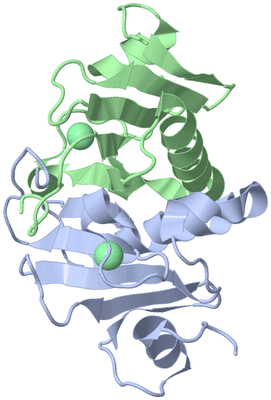 Image Asym./Biol. Unit