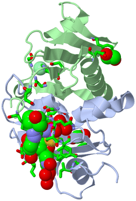 Image Asym./Biol. Unit - sites