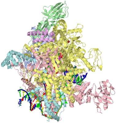 Image Asym./Biol. Unit