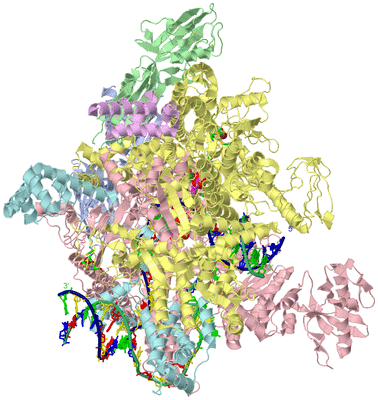 Image Asym./Biol. Unit - sites