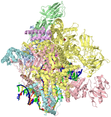 Image Asym./Biol. Unit