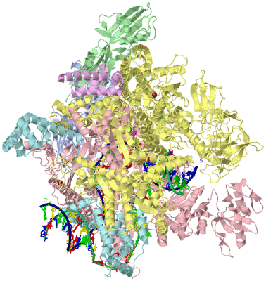 Image Asym./Biol. Unit