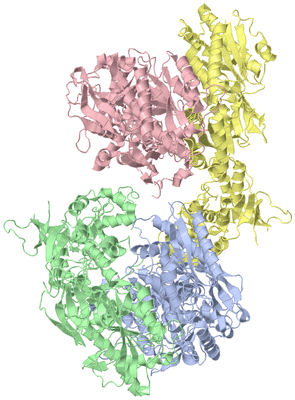 Image Asym./Biol. Unit