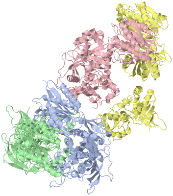 Image Asym./Biol. Unit