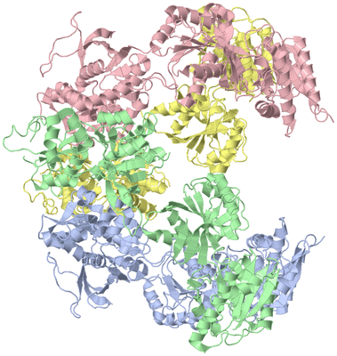 Image Asym./Biol. Unit