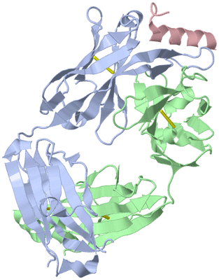 Image Biological Unit 1