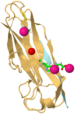 Image Biol. Unit 1 - sites