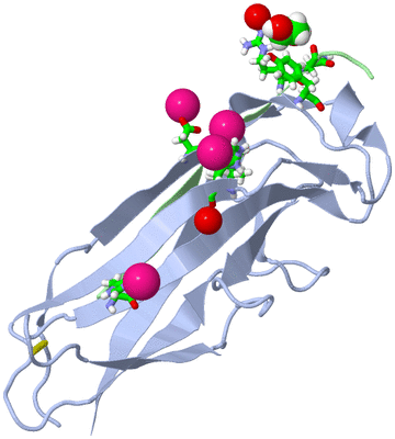 Image Biol. Unit 1 - sites