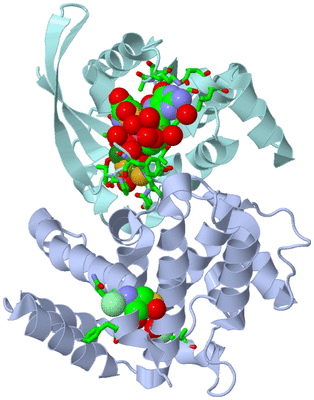 Image Biol. Unit 1 - sites