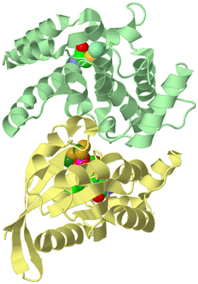 Image Biological Unit 2