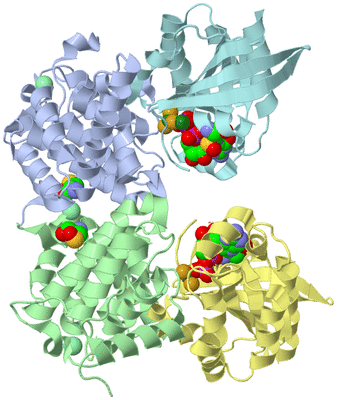 Image Biological Unit 3