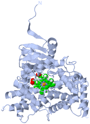 Image Biological Unit 1