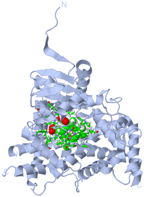 Image Biol. Unit 1 - sites