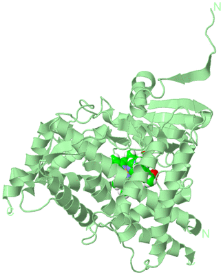 Image Biological Unit 2