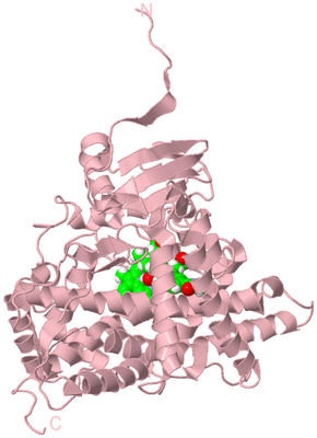 Image Biological Unit 3