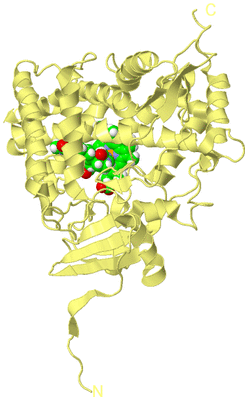 Image Biological Unit 4