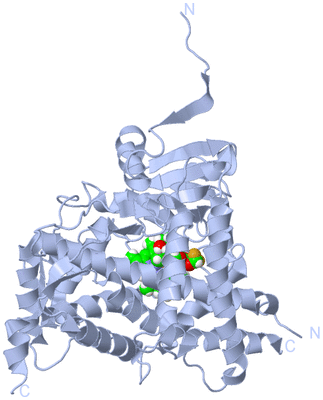 Image Biological Unit 1