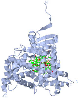 Image Biol. Unit 1 - sites