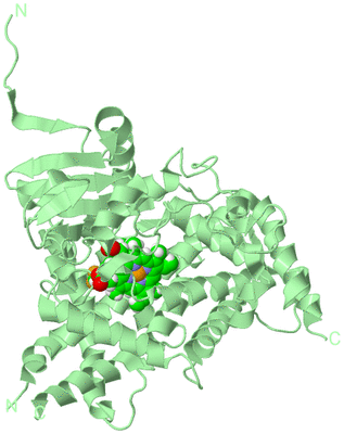 Image Biological Unit 2