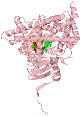 Image Biological Unit 3