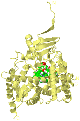 Image Biological Unit 4