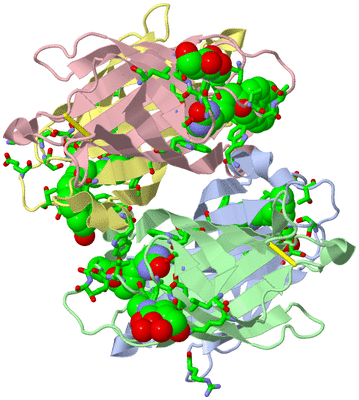 Image Asym./Biol. Unit - sites