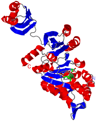 Image Asym. Unit - sites