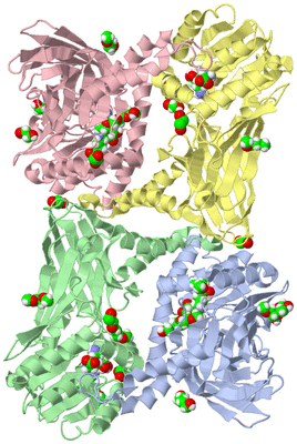 Image Asym./Biol. Unit