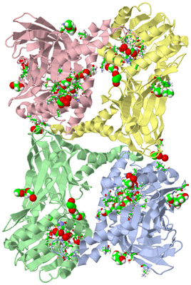 Image Asym./Biol. Unit - sites