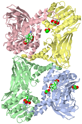 Image Asym./Biol. Unit