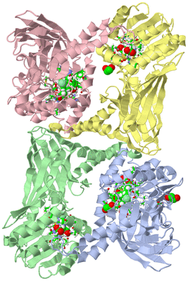 Image Asym./Biol. Unit - sites