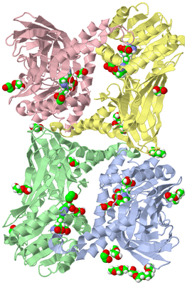 Image Asym./Biol. Unit