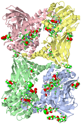 Image Asym./Biol. Unit - sites