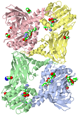 Image Asym./Biol. Unit