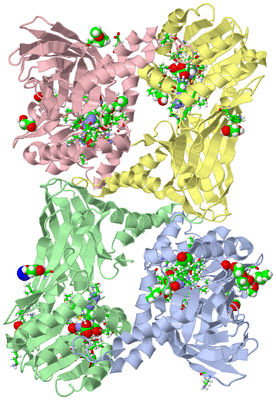 Image Asym./Biol. Unit - sites