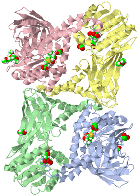 Image Asym./Biol. Unit