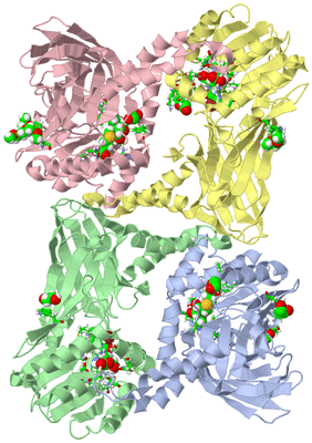 Image Asym./Biol. Unit - sites