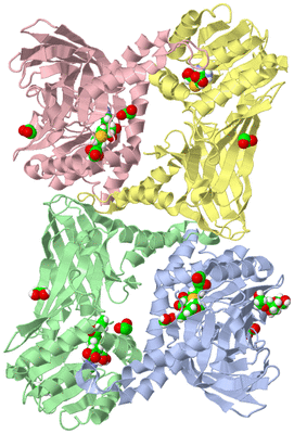 Image Asym./Biol. Unit