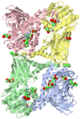 Image Asym./Biol. Unit