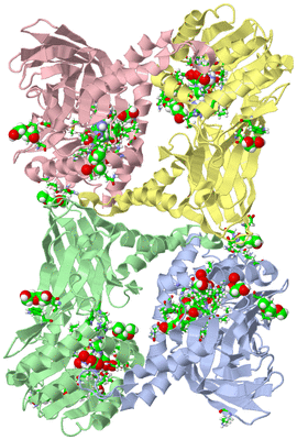 Image Asym./Biol. Unit - sites