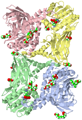 Image Asym./Biol. Unit