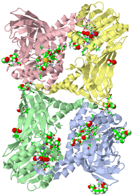 Image Asym./Biol. Unit - sites