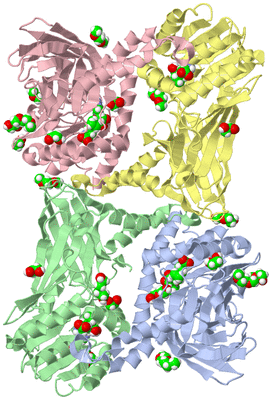 Image Asym./Biol. Unit