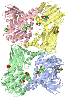 Image Asym./Biol. Unit