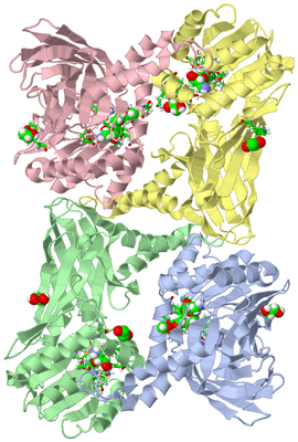 Image Asym./Biol. Unit - sites