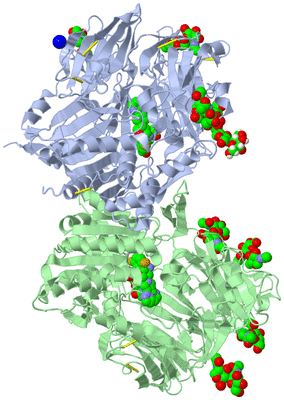 Image Asym./Biol. Unit