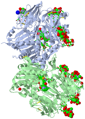 Image Asym./Biol. Unit - sites